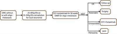 TORCH-R trial protocol: hypofractionated radiotherapy combined with chemotherapy and toripalimab for locally recurrent rectal cancer: a prospective, single-arm, two-cohort, phase II trial